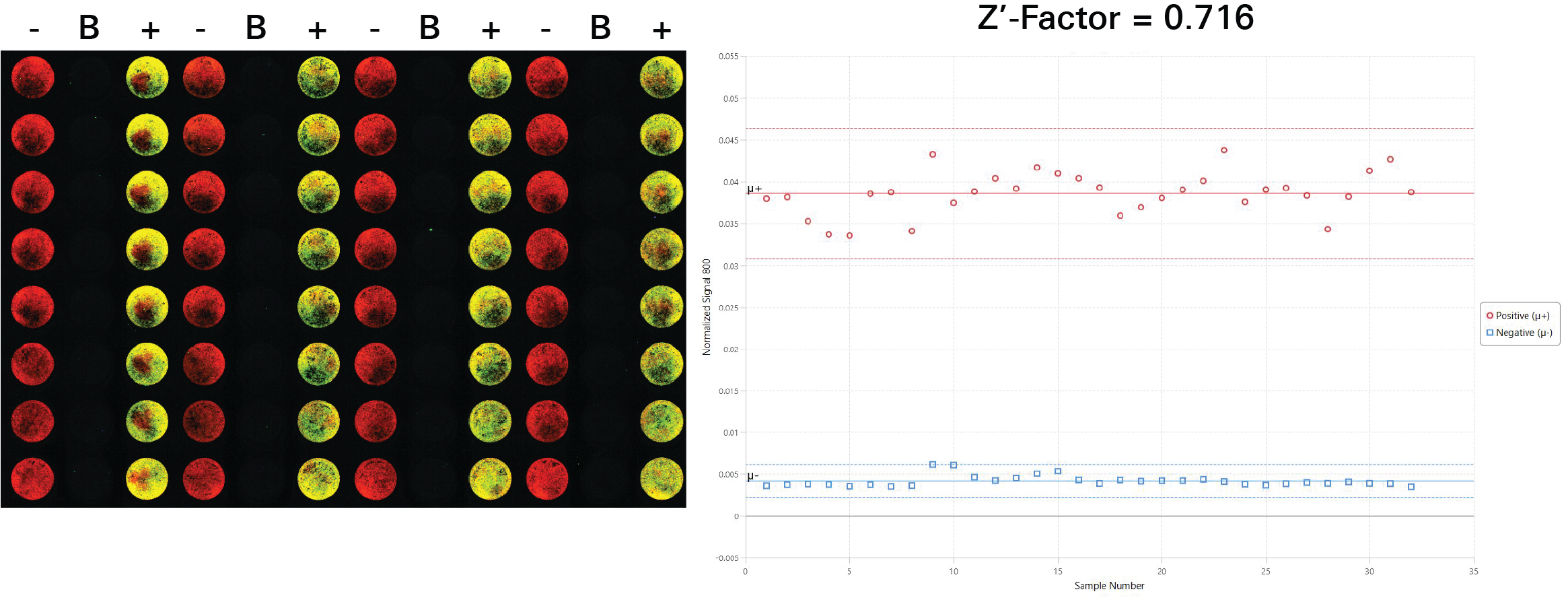 Determining Z'-factor by In-Cell Western