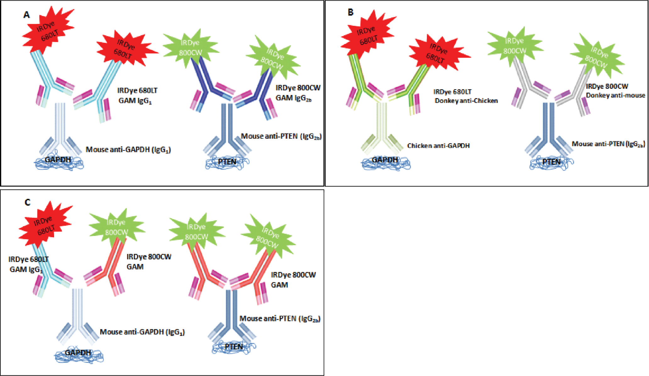 An Illustration showing the detection mechanisms