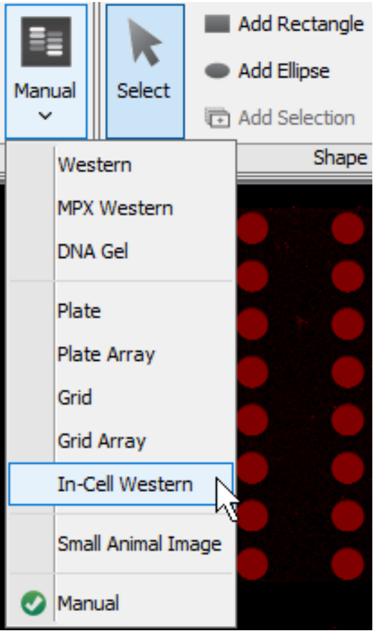 Image Studio choose In-Cell Western analysis