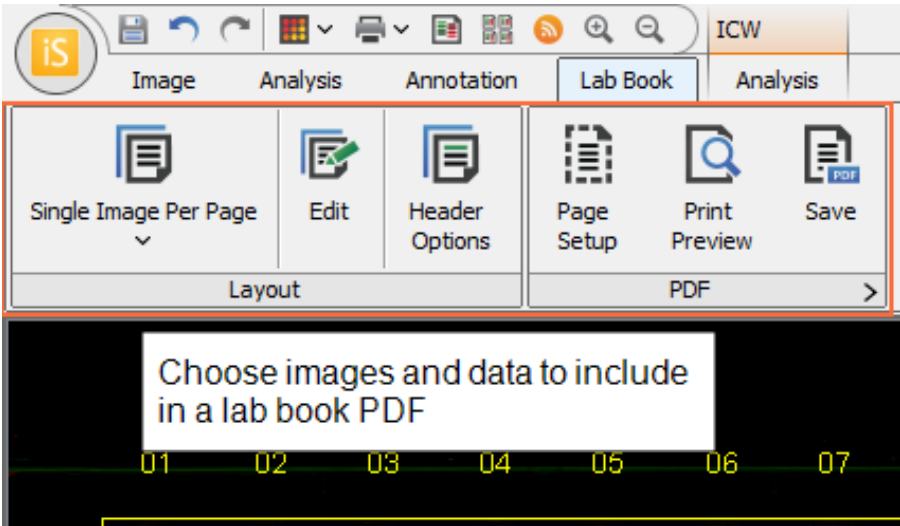 Image Studio export choosing data and images