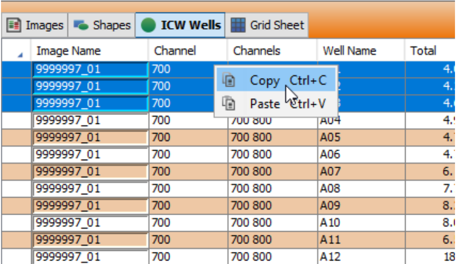 Image Studio export copying table data