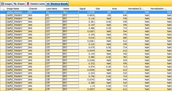 Image Studio 5.0 Western Bands Table Example