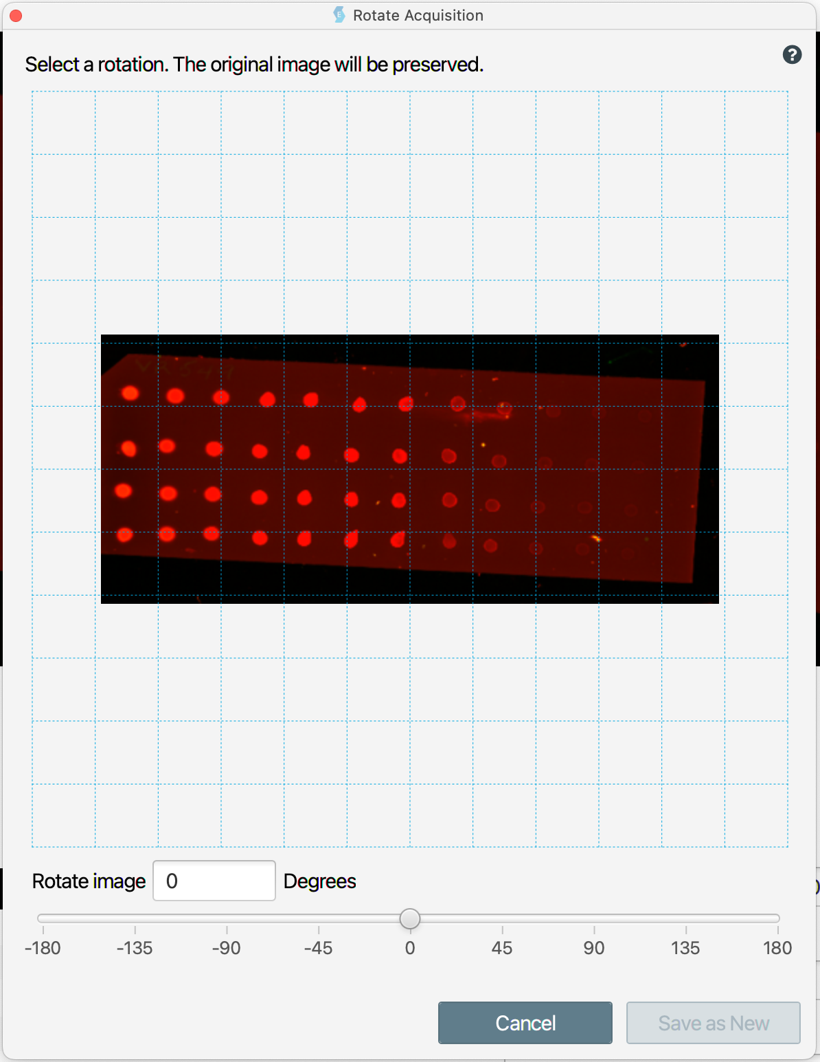 Dot blot before free rotation to horizontally align dots.