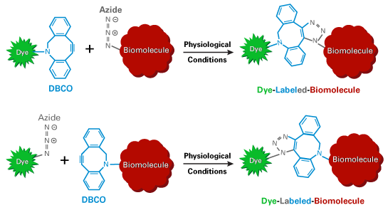 dbco reaction