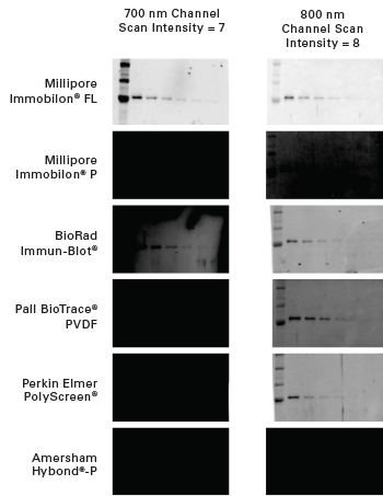 Membrane Data