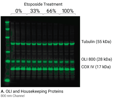 Membrane Data