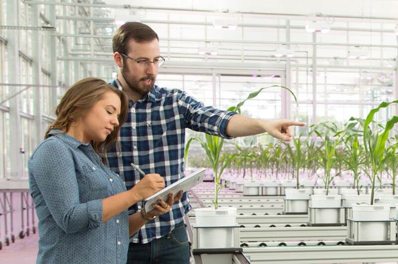 customer in greenhouse