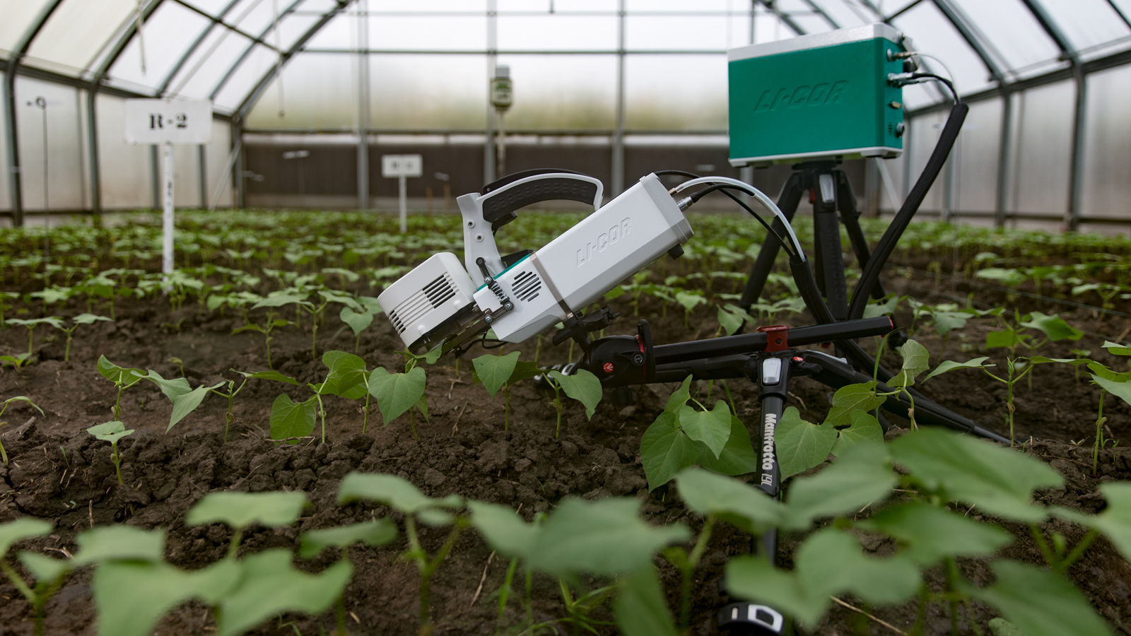 LI-6800 in greenhouse